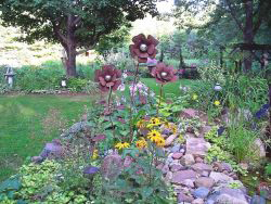 Nature's Creations flowers